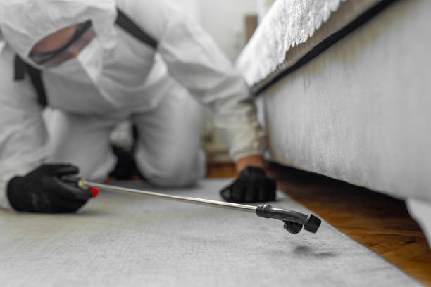 Professional Termite Control technician working in Osage, IA
