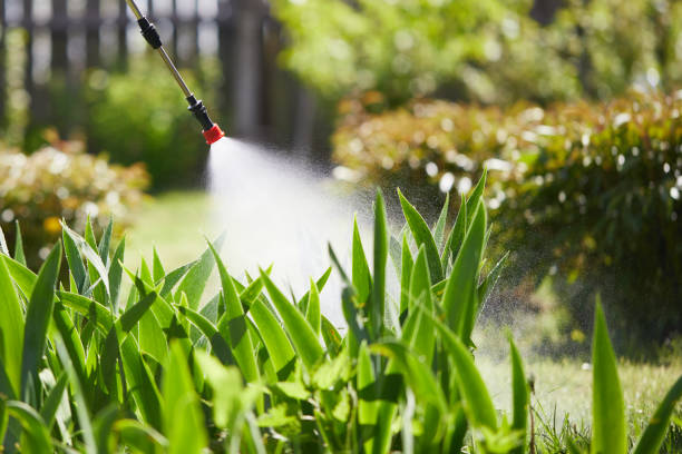 24/7 Emergency Termite Control experts in Osage, IA